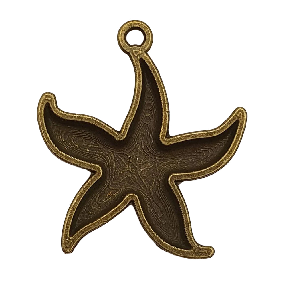 Small Sea star 2.5cm diameter