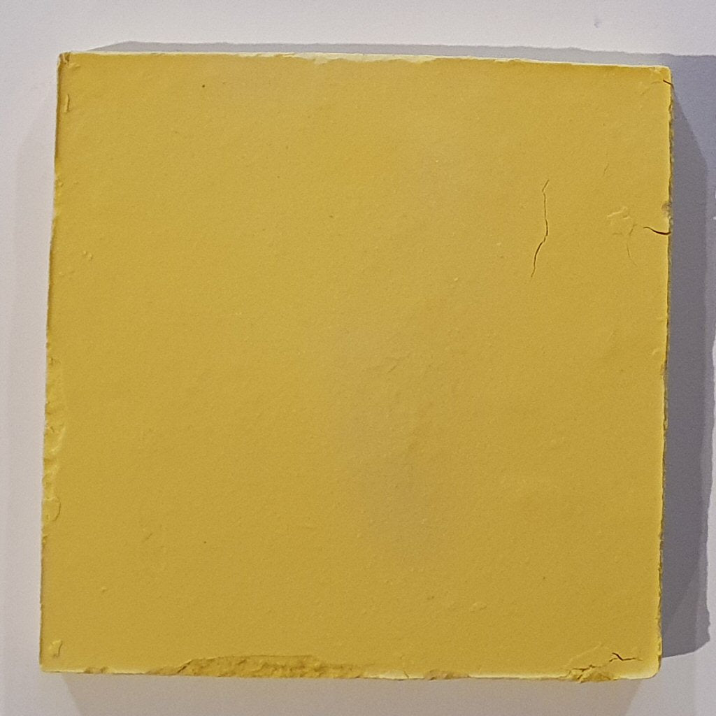 ECO Smalti Pizza BF994