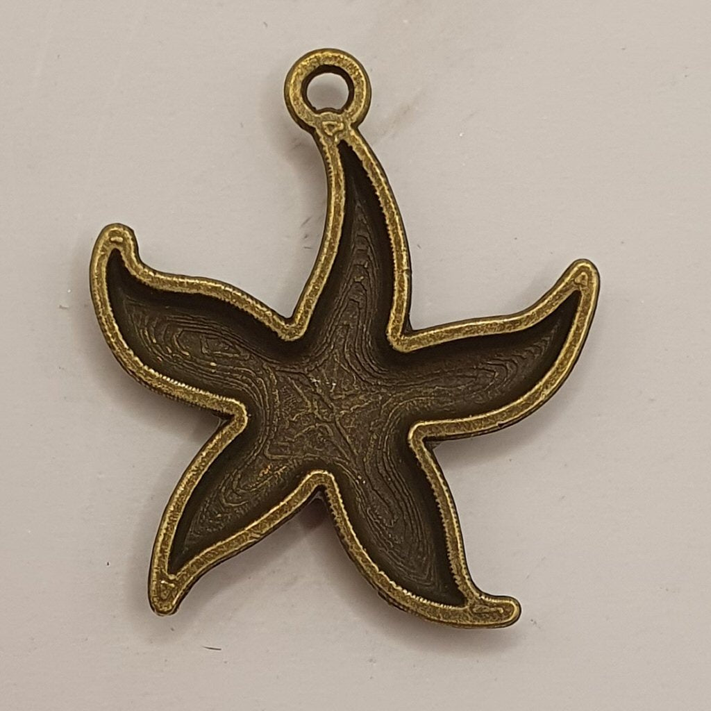 Small Sea star 2.5cm diameter